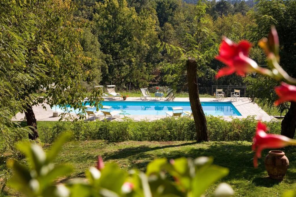 Villa Liz Tuscany, Private Pool, Hot Tub, Property Fenced, Pets Allowed Poppi Exteriér fotografie