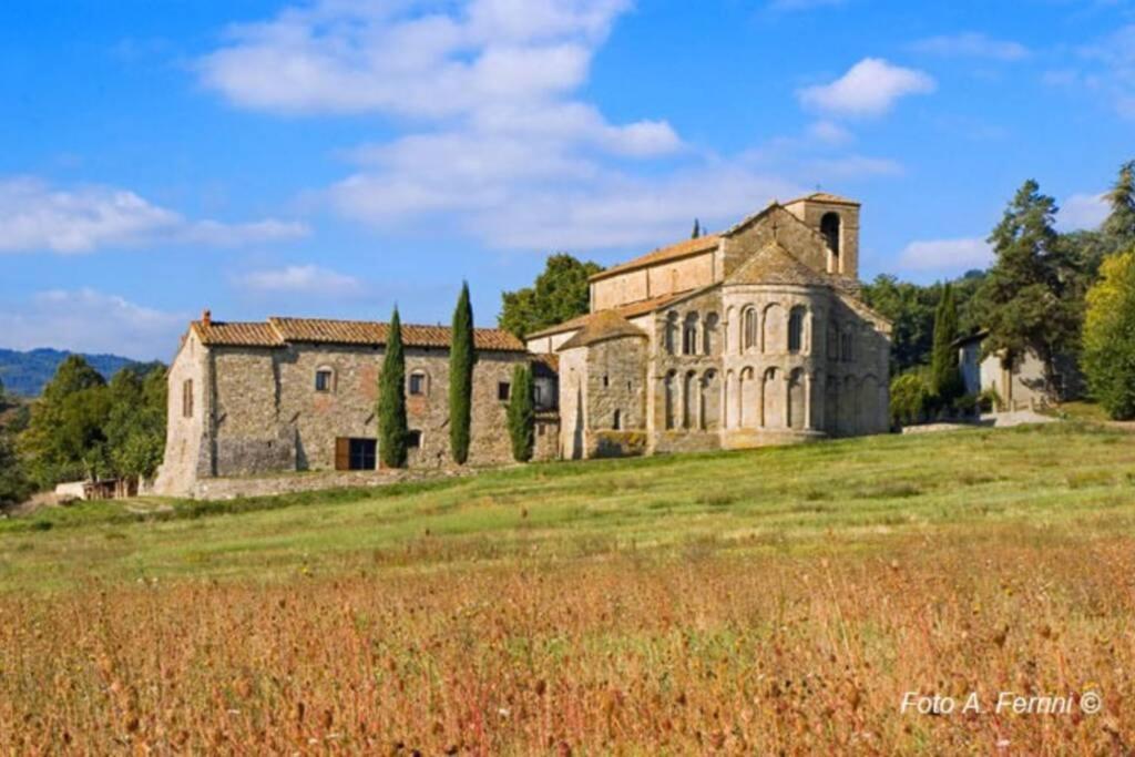 Villa Liz Tuscany, Private Pool, Hot Tub, Property Fenced, Pets Allowed Poppi Exteriér fotografie