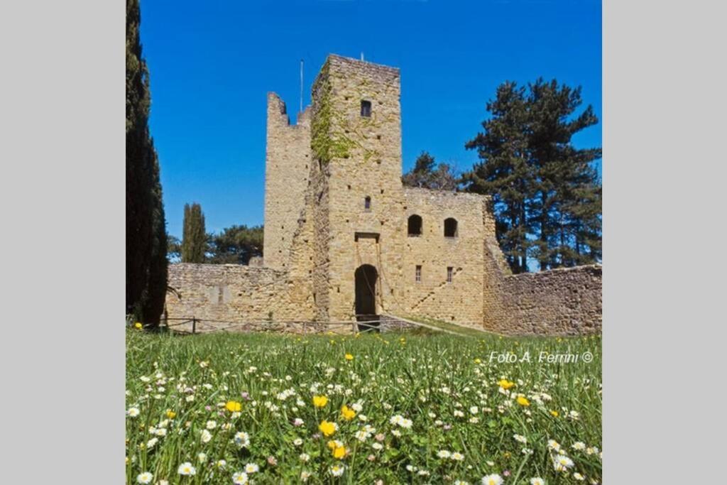 Villa Liz Tuscany, Private Pool, Hot Tub, Property Fenced, Pets Allowed Poppi Exteriér fotografie