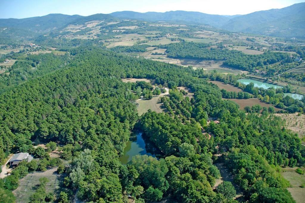 Villa Liz Tuscany, Private Pool, Hot Tub, Property Fenced, Pets Allowed Poppi Exteriér fotografie